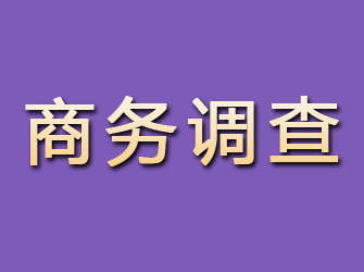 关岭商务调查